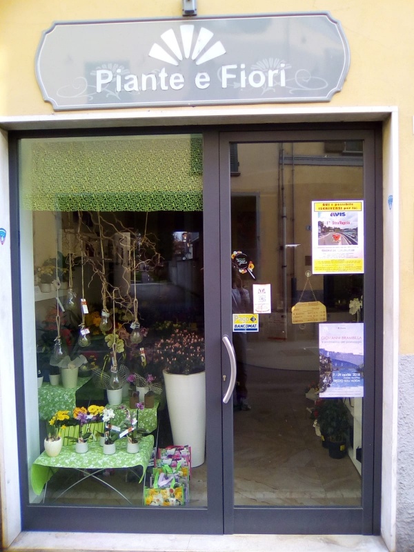 Piante e Fiori di Galli Luca Via Matteotti, 4, 20069 Vaprio d'Adda MI